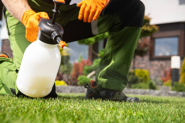 Best Pest Control Near Me  in Westland, MI