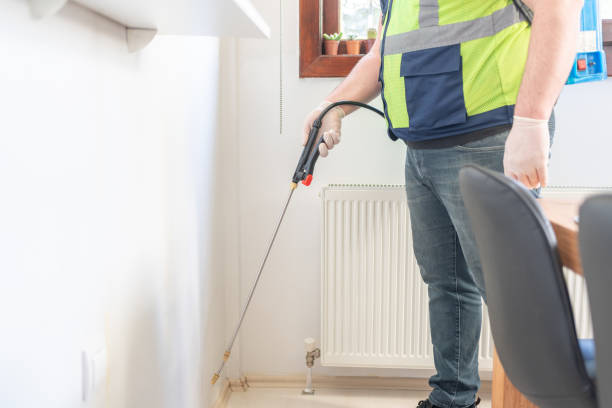 Best Rat Extermination Near Me  in Westland, MI