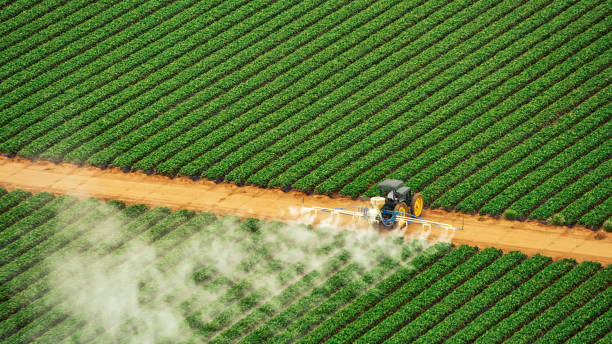 Best Pest Control for Businesses  in Westland, MI
